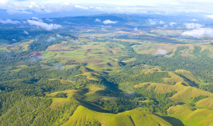 Empowering a Community and Enabling Linguistic Research