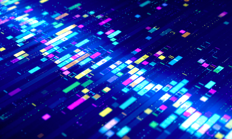 Executive Insights from AI Summit NYC