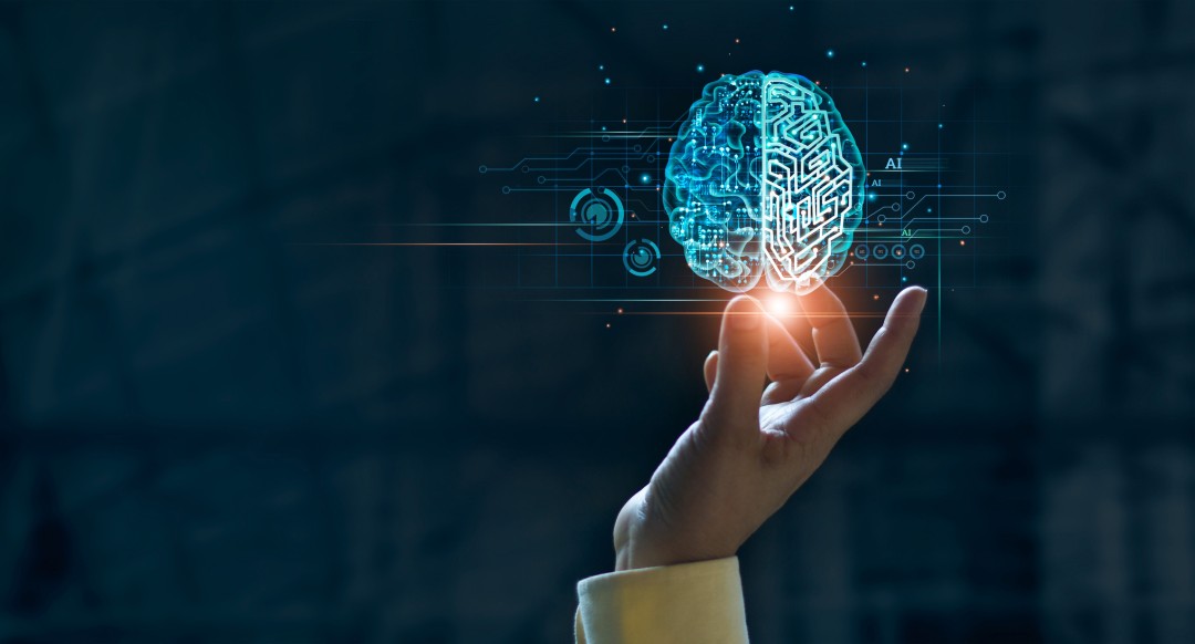 How Data and Machine Learning Model Choices Impact Deployment Rates