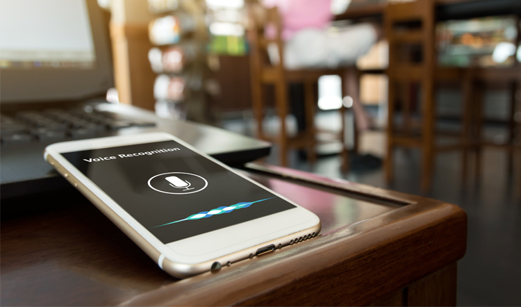 When Speech Recognition Goes Wrong